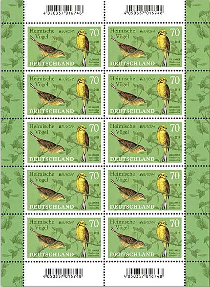 Heimische Vögel, Goldammer