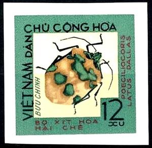Stamp, Shield-backed Bug (Poeciliocoris latus), Vietnam,  , Animals (Fauna), Insects