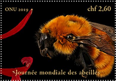 World Bee Day