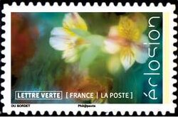 Stamp, Flowers In Bloom, France,  , Flowers, Plants (Flora)
