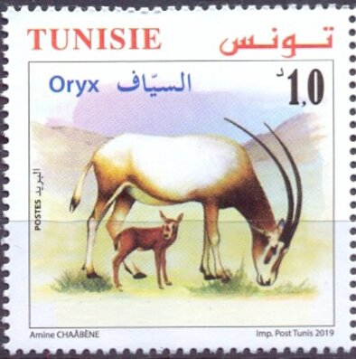 Oryx