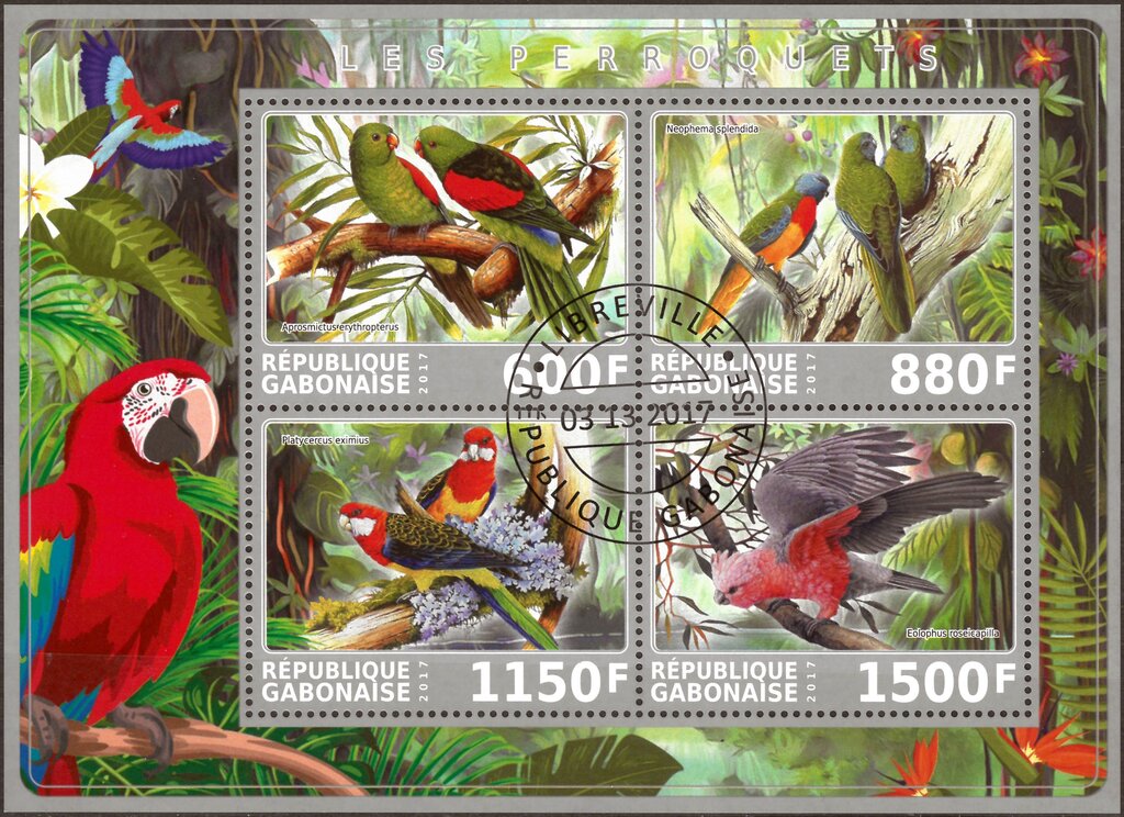 Parrots