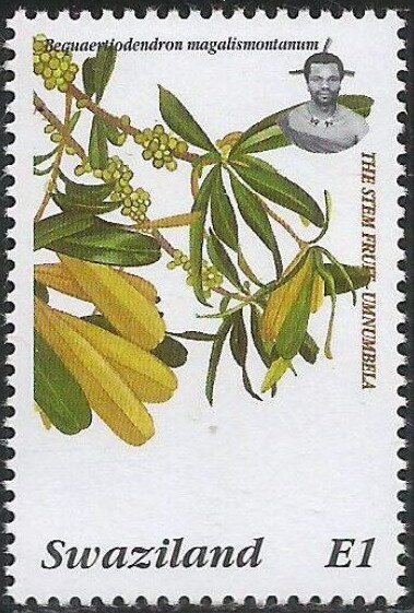 Stem Fruit