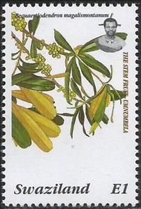 Stamp, Stem Fruit, Swaziland,  , Plants (Flora), Trees