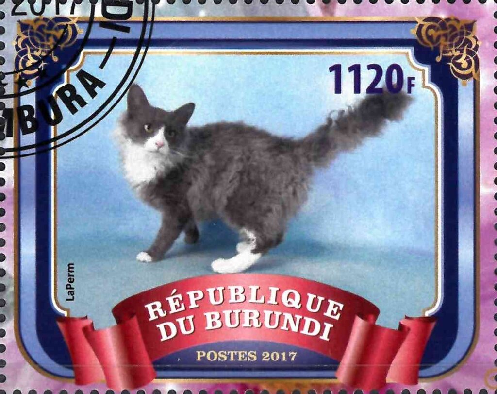 LaPerm