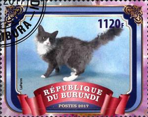 Stamp, LaPerm, Cinderellas,  , Animals (Fauna), Cats, Mammals