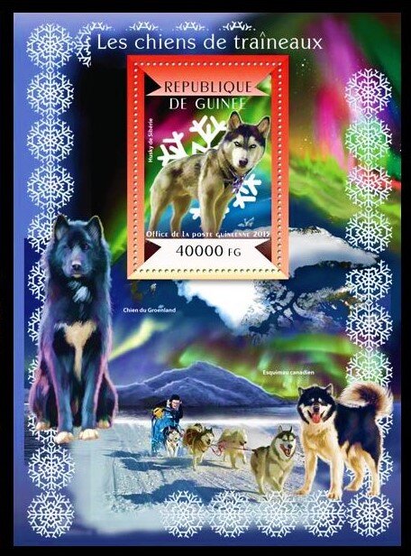 Sledge Dogs