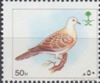 Turtle dove.