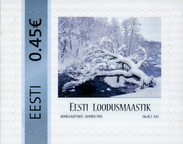 Eesti loodusmaastik Lumine puu
