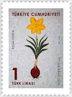 Stamp, Flowers, Turkey,  , Flowers, Plants (Flora)