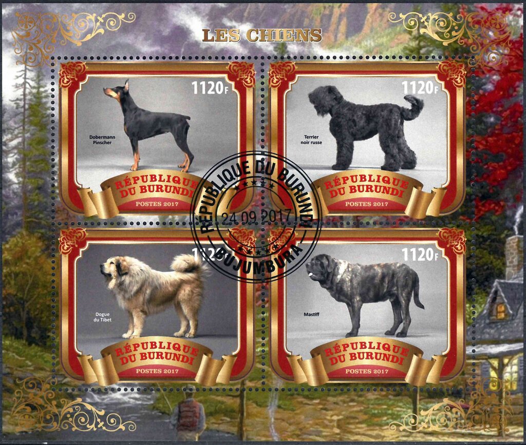 Dogs