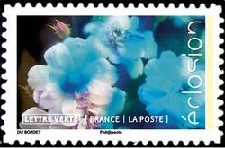 Stamp, Flowers In Bloom, France,  , Flowers, Plants (Flora)