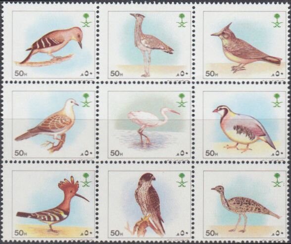Birds