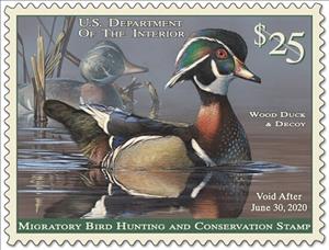 Stamp, Wood Duck and Decoy, United States of America,  , Animals (Fauna), Birds, Ducks, Hunting