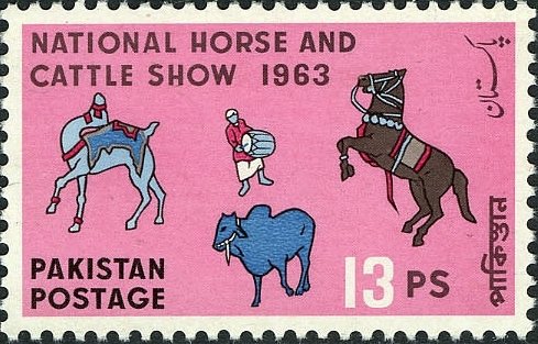 Dancing  Horse, Camel & Bull