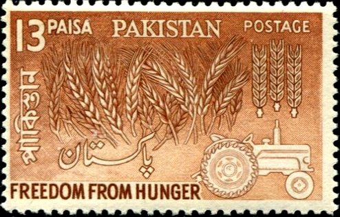 Wheat & Tractor