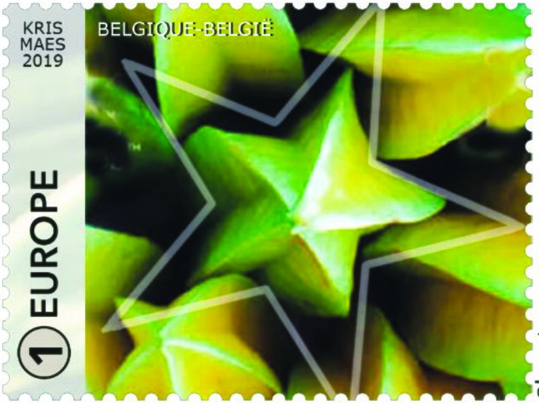 Stamp, Starfruit, Belgium,  , Fruits