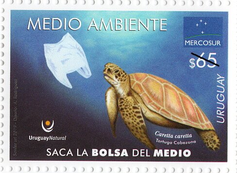 MERCOSUR 2019 : Environmental Protection