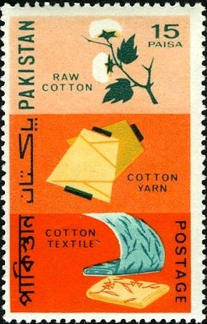 Cotton, Yarn & Textile