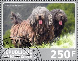 Stamp, Berger de Bergame, Cinderellas,  , Animals (Fauna), Dogs, Mammals