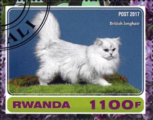 Stamp, British longhair, Cinderellas,  , Animals (Fauna), Cats, Mammals