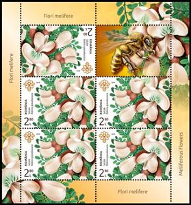 Mini Sheet, Black Locust (Robinia pseudoacacia), Romania,  , Flowers, Plants (Flora)