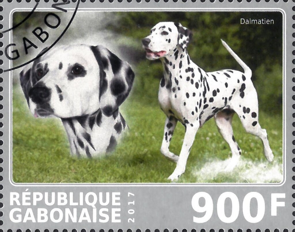 Dalmatien