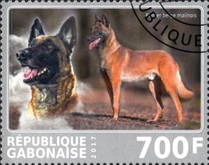 Stamp, Berger beige malinois, Cinderellas,  , Animals (Fauna), Dogs, Mammals