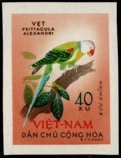 Blossom-headed Parakeet (Psittacula roseata)