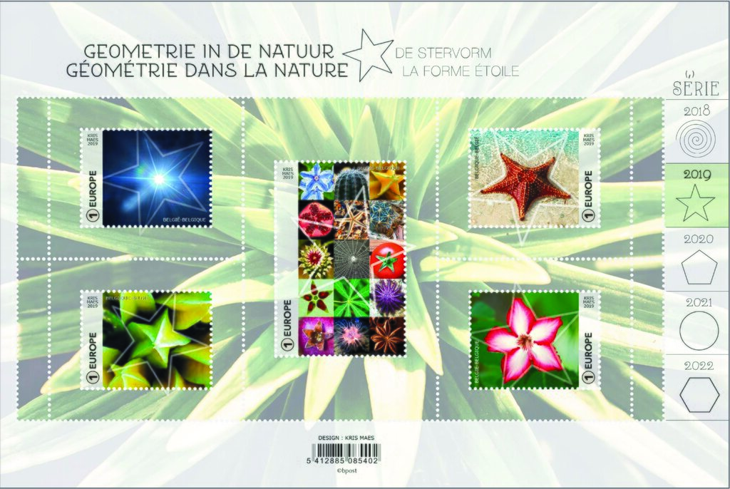 Geometrics In Nature : Stars