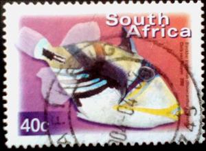 Stamp, Lagoon Triggerfish (Rhinecanthus aculeatus), South Africa,  , Animals (Fauna), Fishes, Sea Life