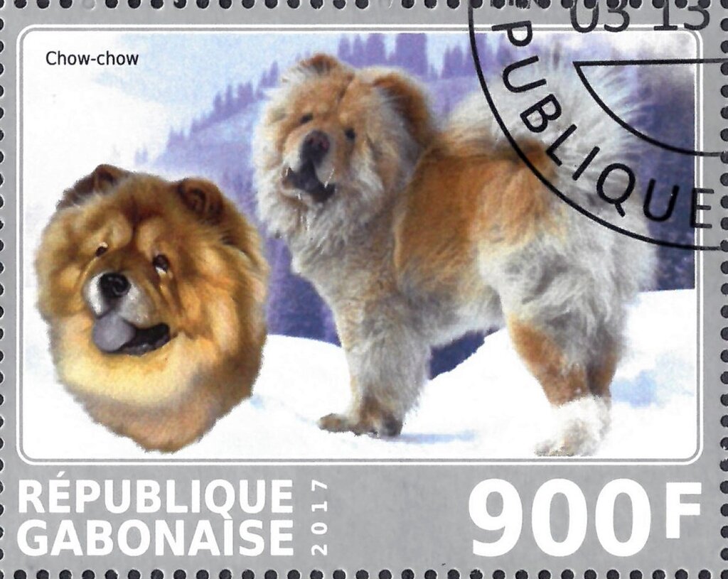 Chow-chow