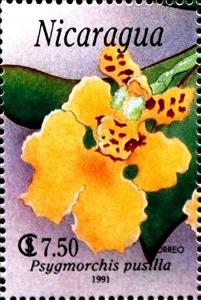 Stamp, Psygmorchis pusilla, Nicaragua,  , Flowers