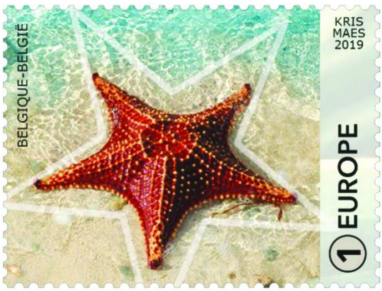 Starfish