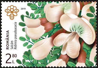 Stamp, Black Locust (Robinia pseudoacacia), Romania,  , Flowers