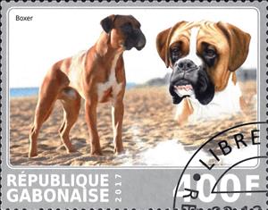 Stamp, Boxer, Cinderellas,  , Animals (Fauna), Dogs, Mammals