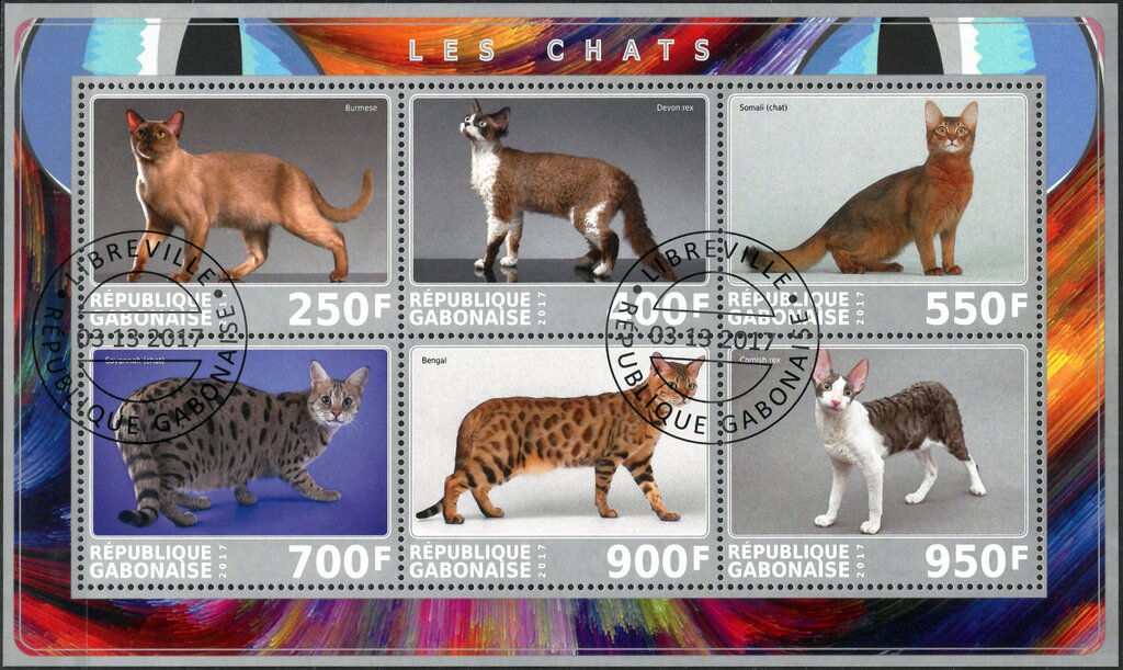 Cats