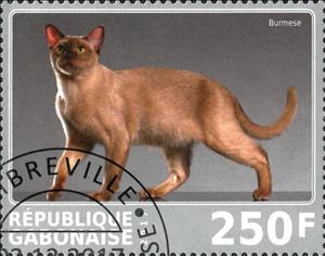 Stamp, Burmese, Cinderellas,  , Animals (Fauna), Cats, Mammals