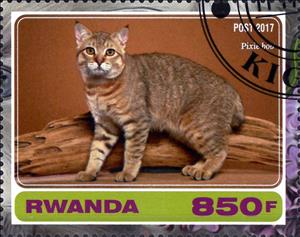 Stamp, Pixie hov, Cinderellas,  , Animals (Fauna), Cats, Mammals