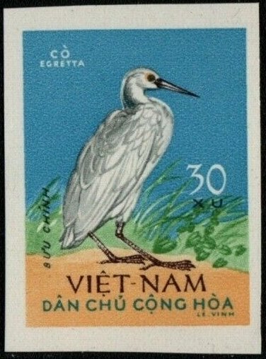 Pacific Reef Heron (Egretta sacra)