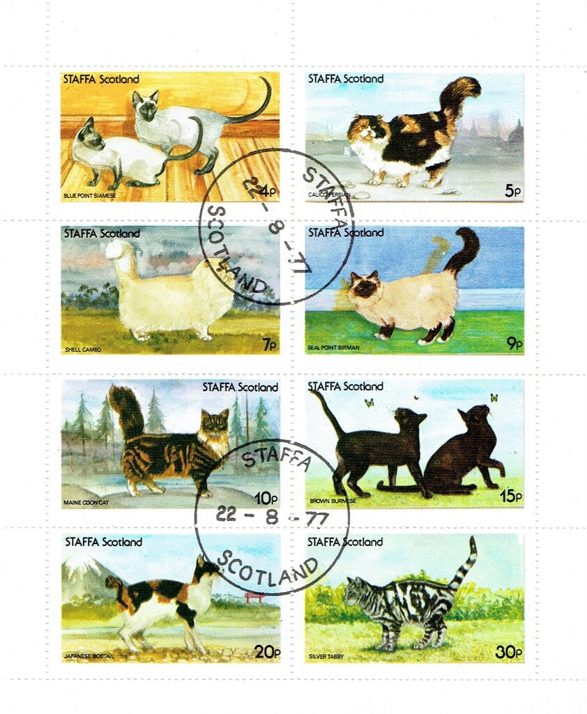Cats