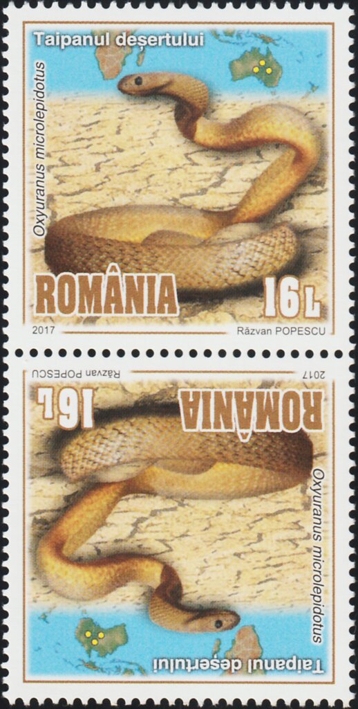 Inland Taipan Tête-bêche Pair Type I