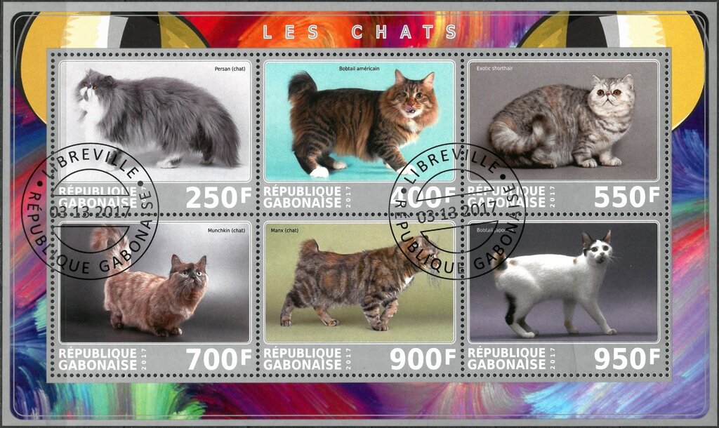 Cats