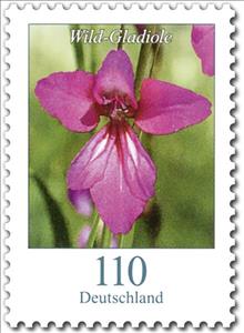 Stamp, Wild Gladiola, Germany, Federal Republic,  , Flowers, Plants (Flora)