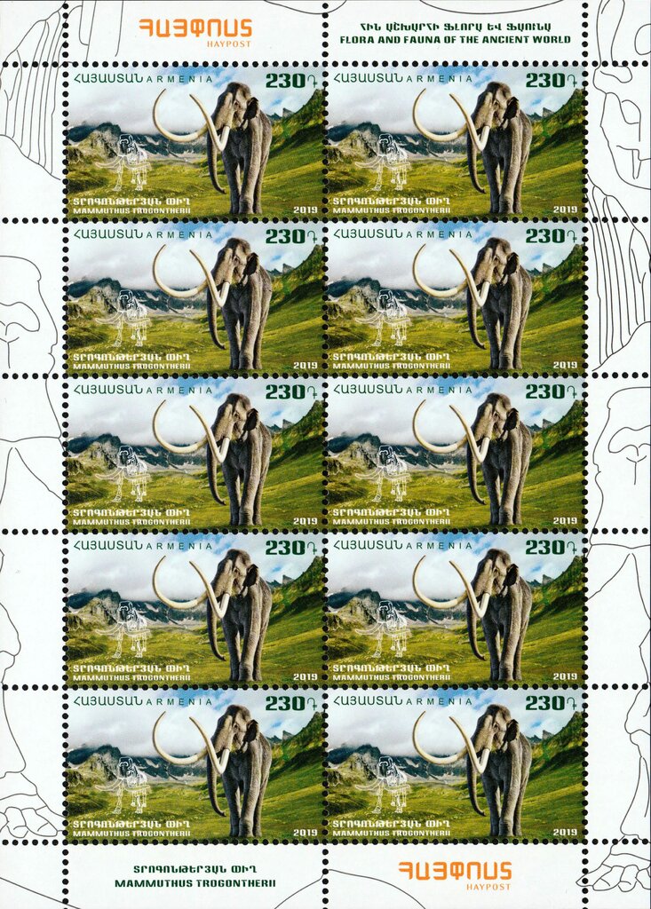 Steppe Mammoth (Mammuthus trogontherii)