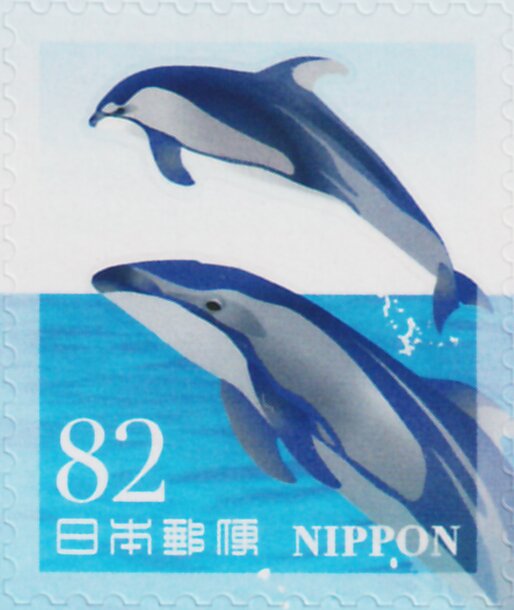 Dolphins