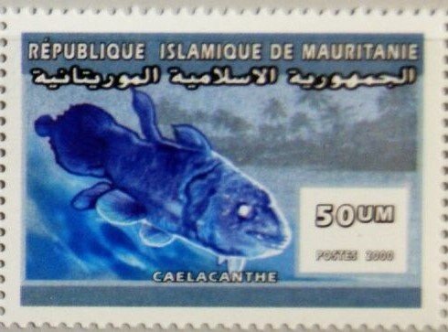 Coelacanth