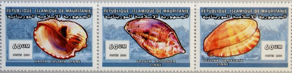 Molluscs