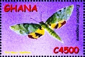 Stamp, Verdant Hawkmoth (Euchloron megaera), Ghana,  , Animals (Fauna), Butterflies, Insects