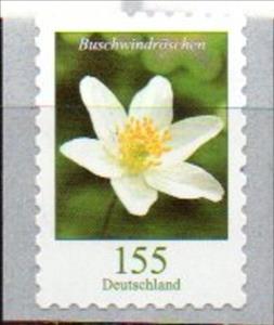 Stamp, Wood Anemone (Anemone nemorosa), Germany, Federal Republic,  , Flowers, Plants (Flora)